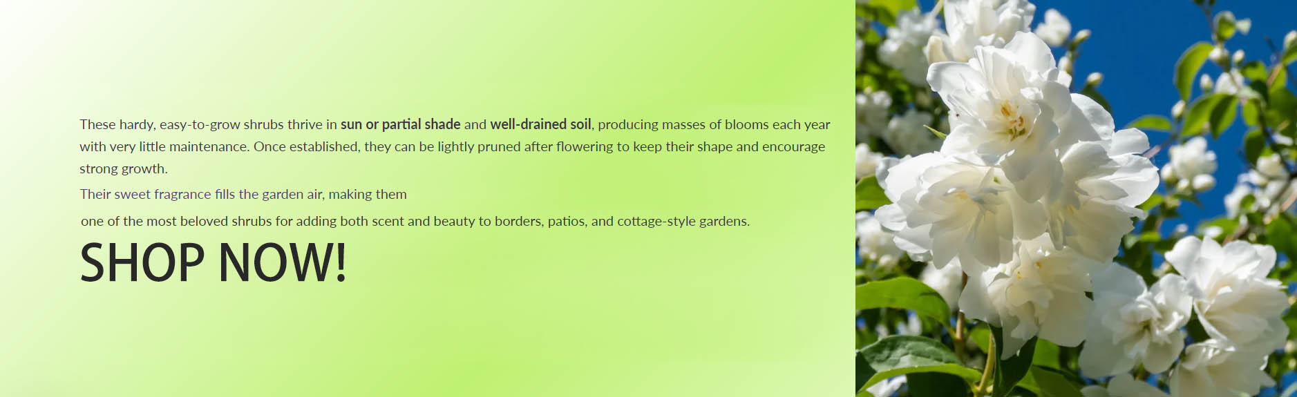 High Country Gardens -High Country Gardens YUOYUO