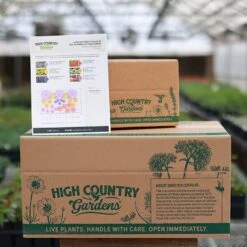 Butterfly Paradise Pre-Planned Cottage Garden 17 Butterfly Paradise Pre-Planned Cottage Garden -High Country Gardens butterfly ppg ship