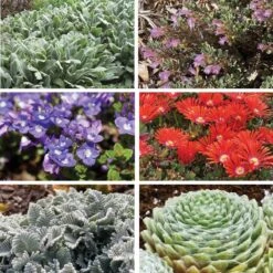 FireSmart Collection - Zone 1 -High Country Gardens firewise collection 1 9 18 2025