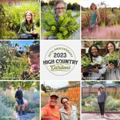 No Mow Lawn Grass Seed 12 No Mow Lawn Grass Seed -High Country Gardens hcg pdp persuasion social proof v3 1 1 4