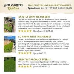 Dog Tuff™ Grass Plugs -High Country Gardens hcg pdp testimonials dog tuff