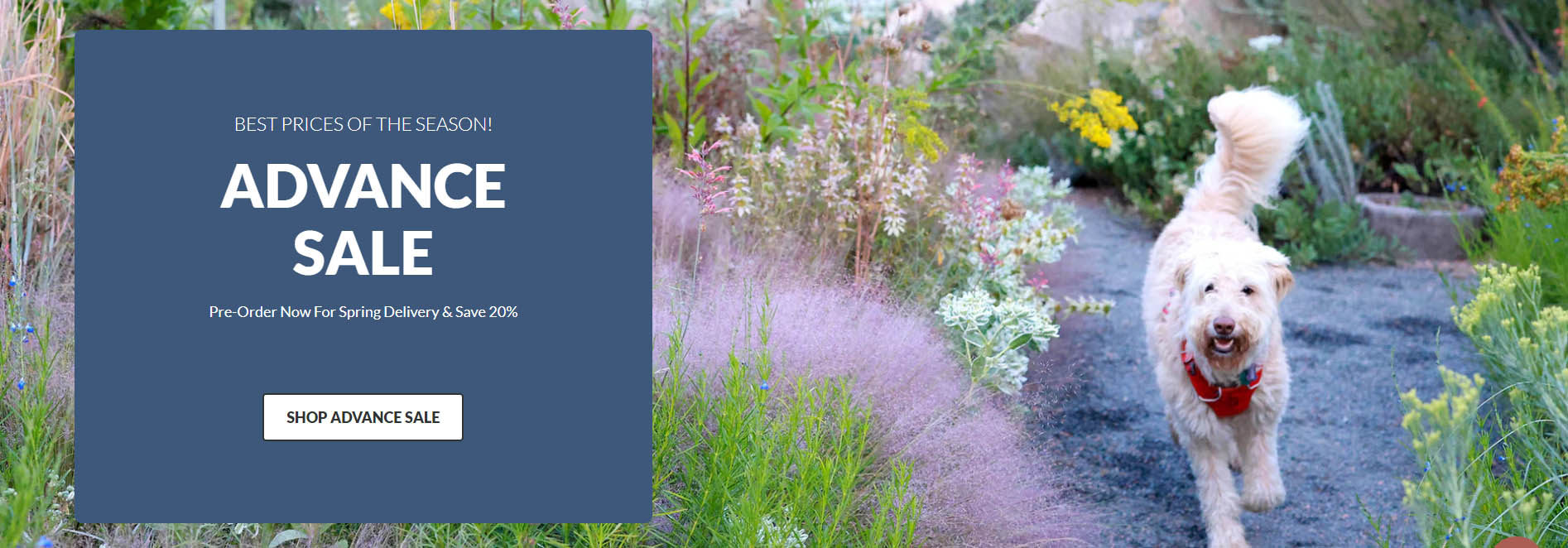 High Country Gardens -High Country Gardens iuopl