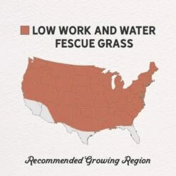 Low Work And Water Dwarf Fescue Grass Seed 11 Low Work And Water Dwarf Fescue Grass Seed -High Country Gardens low work and water seed mix regions