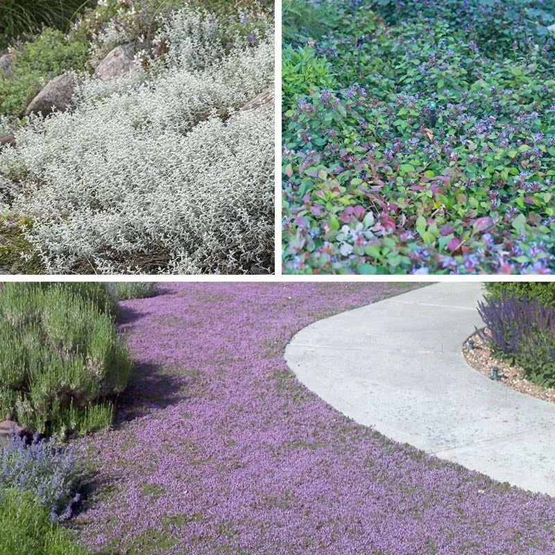 Quick Cover Collection 6 Quick Cover Collection - Image 4