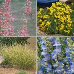 High Country Gardens Signature Collection -High Country Gardens spring high country garden signature collection