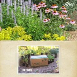 Summer Dreams Pre-Planned Garden -High Country Gardens summer dreams before after