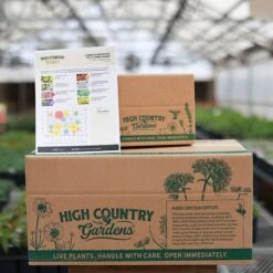 Summer Dreams Pre-Planned Garden -High Country Gardens summer ppg ship