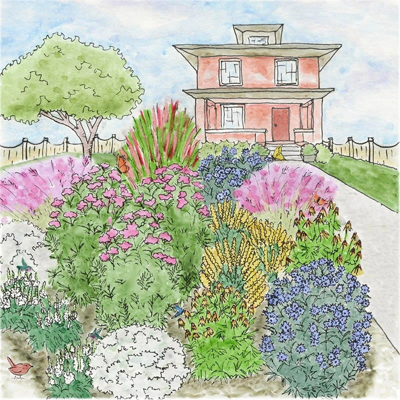 Watershed Wise Pre-Planned Garden 4 Watershed Wise Pre-Planned Garden - Image 2