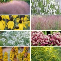 Watershed Wise Pre-Planned Garden 22 Watershed Wise Pre-Planned Garden -High Country Gardens watershed wise collage8 26 25